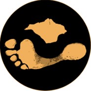 The Footprint Trust Ltd