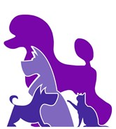 Shampoodles IW Ltd