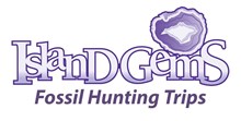 Island Gems Fossil Trips