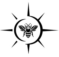 Curated Spaces IOW Ltd